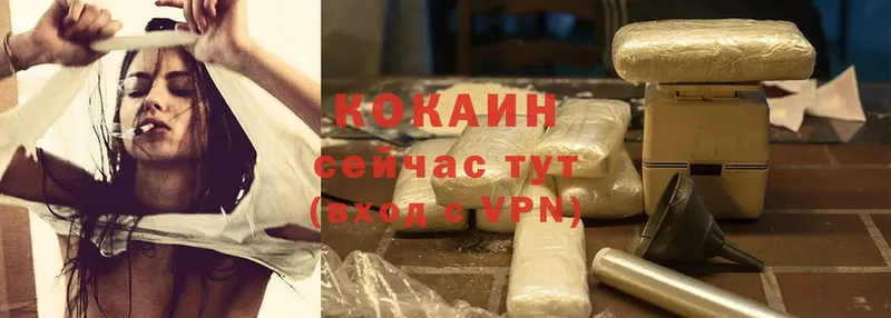 как найти закладки  Козловка  COCAIN VHQ 